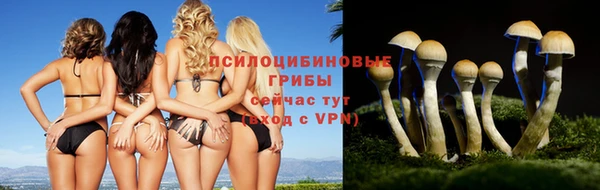 экстази Алексеевка
