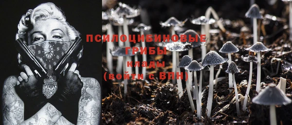 MESCALINE Алзамай