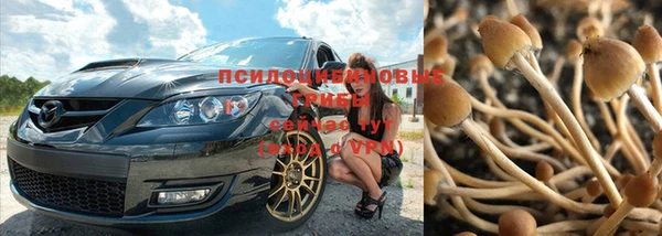 прущие крисы Алексин