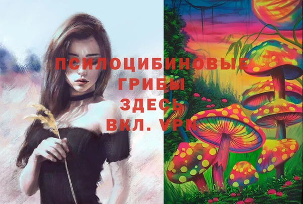 экстази Алексеевка