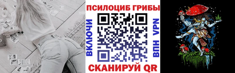 дарнет шоп Протвино Псилоцибиновые грибы Magic Shrooms