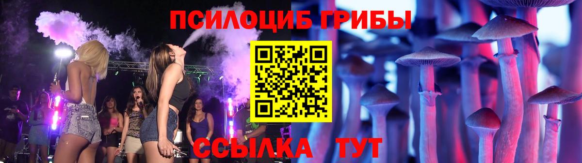Протвино  Галлюциногенные грибы MAGIC MUSHROOMS  Вход с VPN  Псилоцибиновые грибы Cubensis 